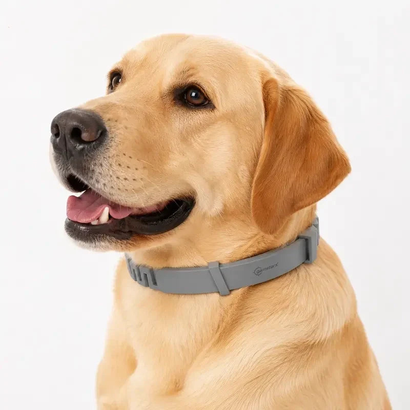Adjustable Fresh-Scent Dog Collar Set (3 PCS) – Lightweight & Comfortable for Large Dogs