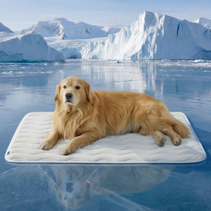 Cooling Thin & Thick Dog Mat – Instant Cooling Washable Pet Pad for Summer Comfort