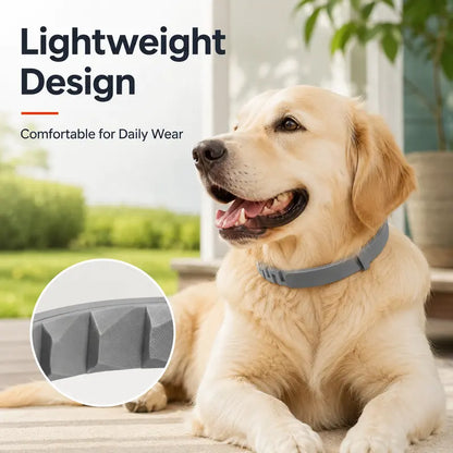 Adjustable Fresh-Scent Dog Collar Set (3 PCS) – Lightweight & Comfortable for Large Dogs