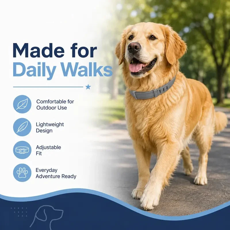 Adjustable Fresh-Scent Dog Collar Set (3 PCS) – Lightweight & Comfortable for Large Dogs