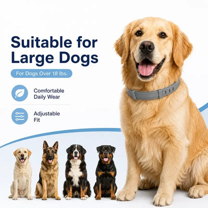Adjustable Fresh-Scent Dog Collar Set (3 PCS) – Lightweight & Comfortable for Large Dogs