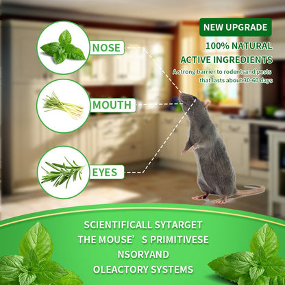 🚫🐀Tired of Mice Invading? 12-Pack Natural Repellent Balls!