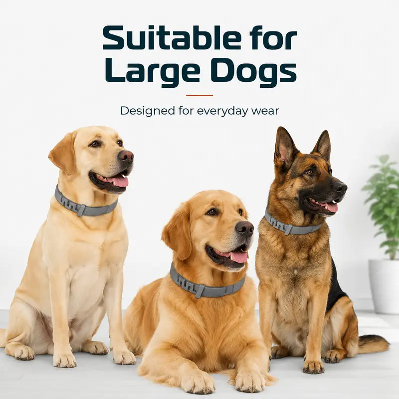 Adjustable Fresh-Scent Dog Collar Set (3 PCS) – Lightweight & Comfortable for Large Dogs