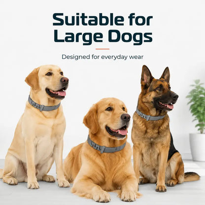 Adjustable Fresh-Scent Dog Collar Set (3 PCS) – Lightweight & Comfortable for Large Dogs