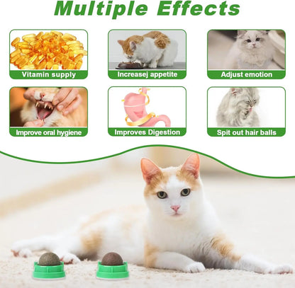 Catnip Toys Balls 4 Pcs, Extra Cat Energy Ball, Edible Kitten Silvervine Toys, Healthy Kitty Teeth Cleaning Dental Chew Toys, Cat Wall Treats Cat Stuf