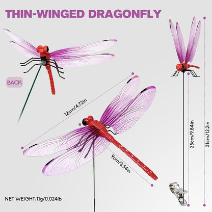 🌈 Realistic Dragonfly Clips – Colorful Garden & Outdoor Decor