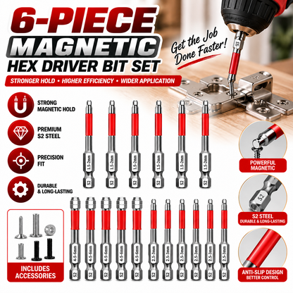 6-Piece Magnetic Hex Driver Bit Set
