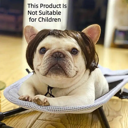 🐶🐱 Funny Pet Costume Wig Headband, for Small Dogs & Cats, Perfect Holiday Photo Props Pet Gift