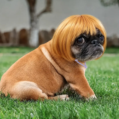 🐶🐱 Funny Pet Costume Wig Headband, for Small Dogs & Cats, Perfect Holiday Photo Props Pet Gift