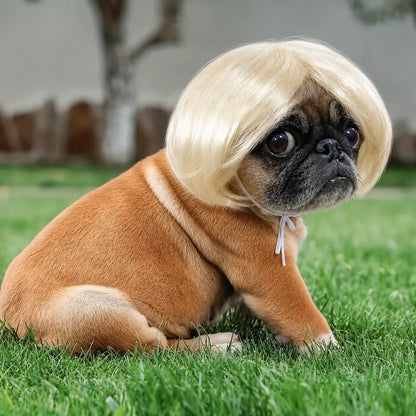 🐶🐱 Funny Pet Costume Wig Headband, for Small Dogs & Cats, Perfect Holiday Photo Props Pet Gift