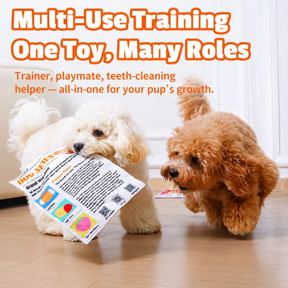 🐶 Crinkle Newspaper Dog Chew Toy, Washable Safe Teeth Cleaning Toy