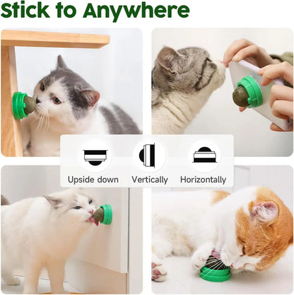 Catnip Toys Balls 4 Pcs, Extra Cat Energy Ball, Edible Kitten Silvervine Toys, Healthy Kitty Teeth Cleaning Dental Chew Toys, Cat Wall Treats Cat Stuf