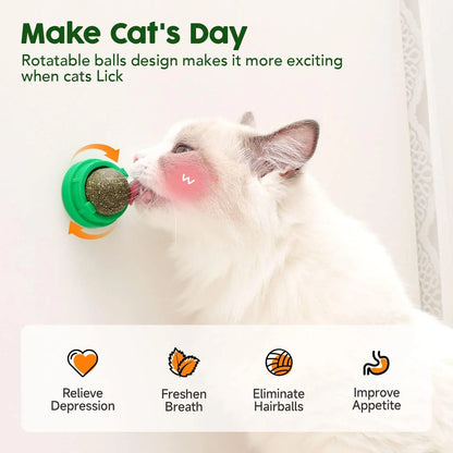 Catnip Toys Balls 4 Pcs, Extra Cat Energy Ball, Edible Kitten Silvervine Toys, Healthy Kitty Teeth Cleaning Dental Chew Toys, Cat Wall Treats Cat Stuf