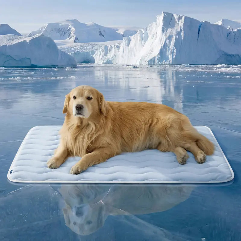 Cooling Thin & Thick Dog Mat – Instant Cooling Washable Pet Pad for Summer Comfort
