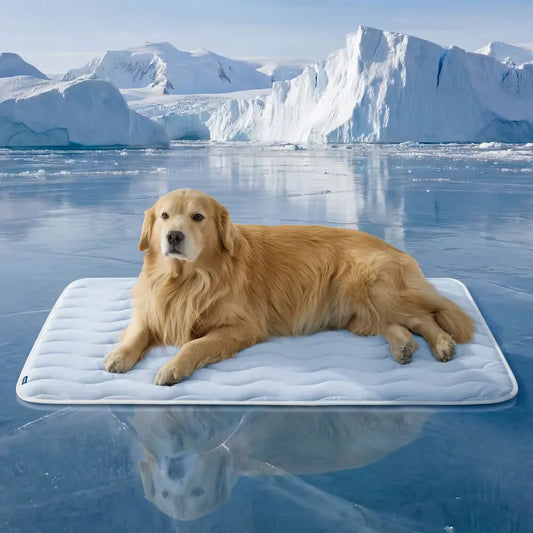 Cooling Thin & Thick Dog Mat – Instant Cooling Washable Pet Pad for Summer Comfort